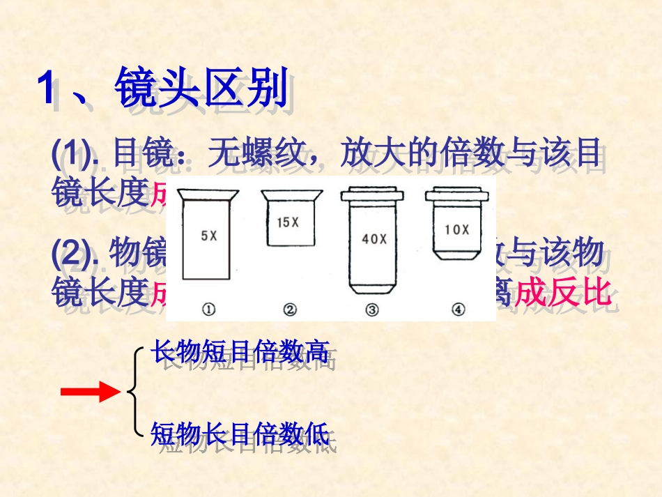 高倍显微镜的使用方法_第3页