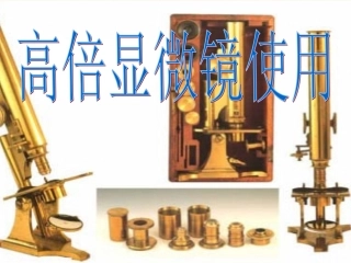 高倍显微镜的使用方法