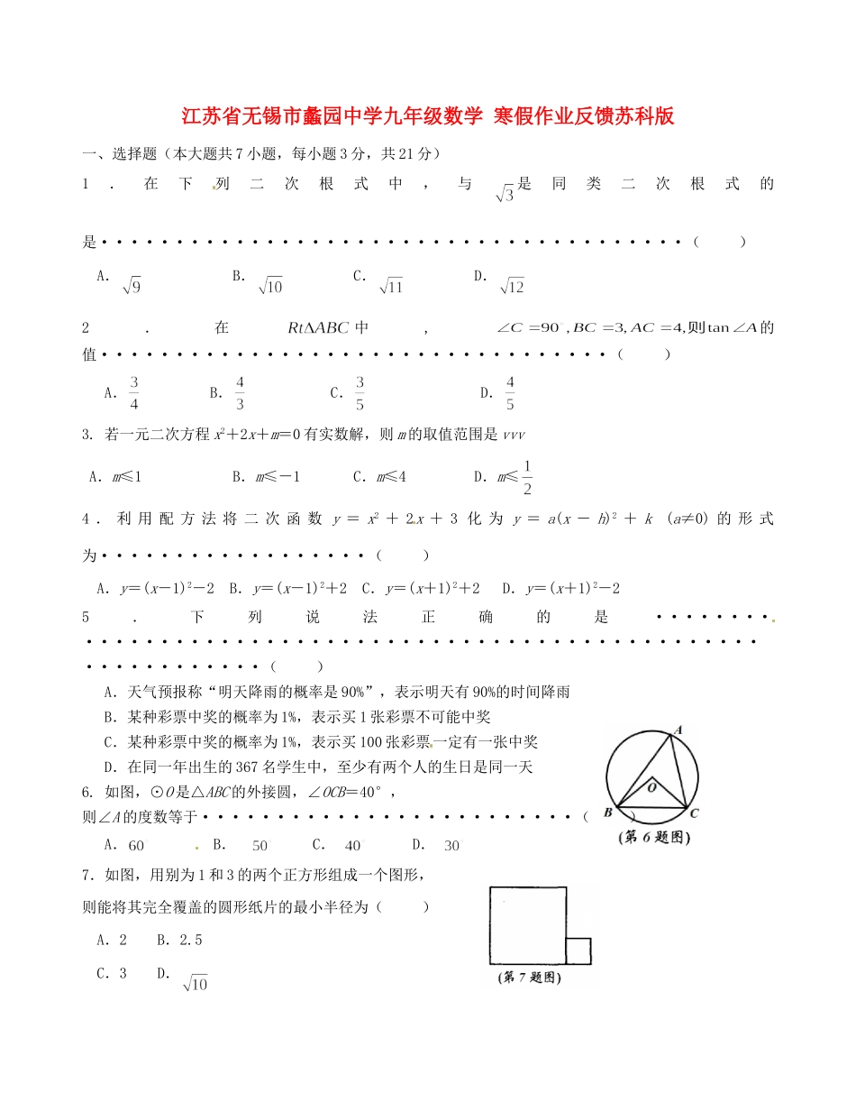 九年级数学 寒假作业反馈 苏科版试卷_第1页