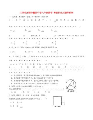 九年级数学 寒假作业反馈 苏科版试卷