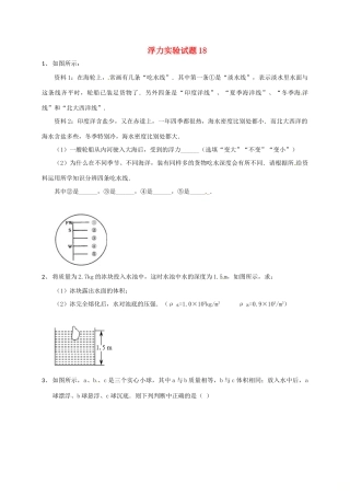 吉林省吉林市中考物理总复习 浮力实验试卷18 新人教版试卷