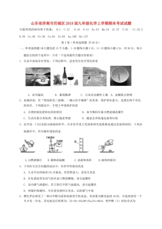 山东省济南市历城区九年级化学上学期期末考试试卷 新人教版试卷