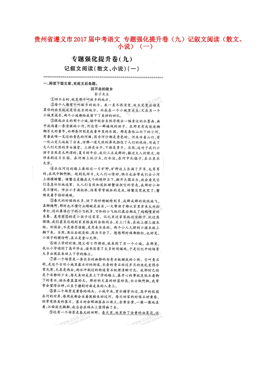 中考语文 专题强化提升卷(九)记叙文阅读(散文、小说)(一)试卷_第1页