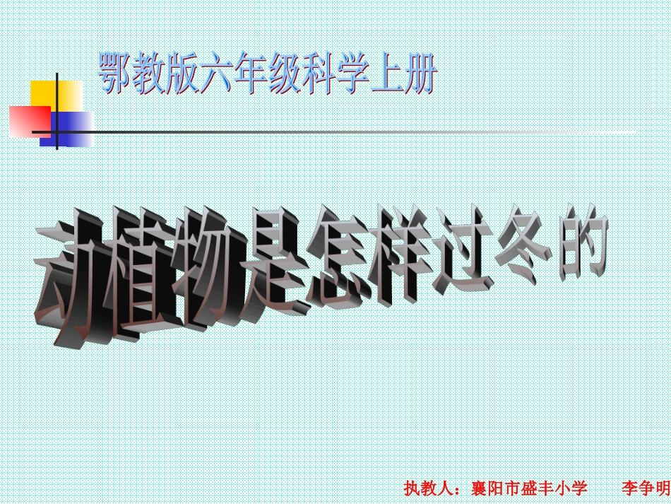 动植物是怎样过冬的PPT_第1页