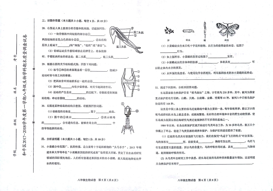天津市和平区八年级生物上学期期末考试试卷(pdf) 天津市和平区八年级生物上学期期末考试试卷(pdf)新人教版 天津市和平区八年级生物上学期期末考试试卷(pdf)新人教版_第3页