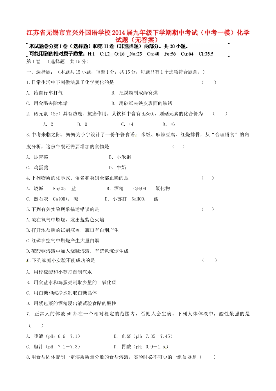 九年级化学下学期期中(一模)试卷试卷_第1页