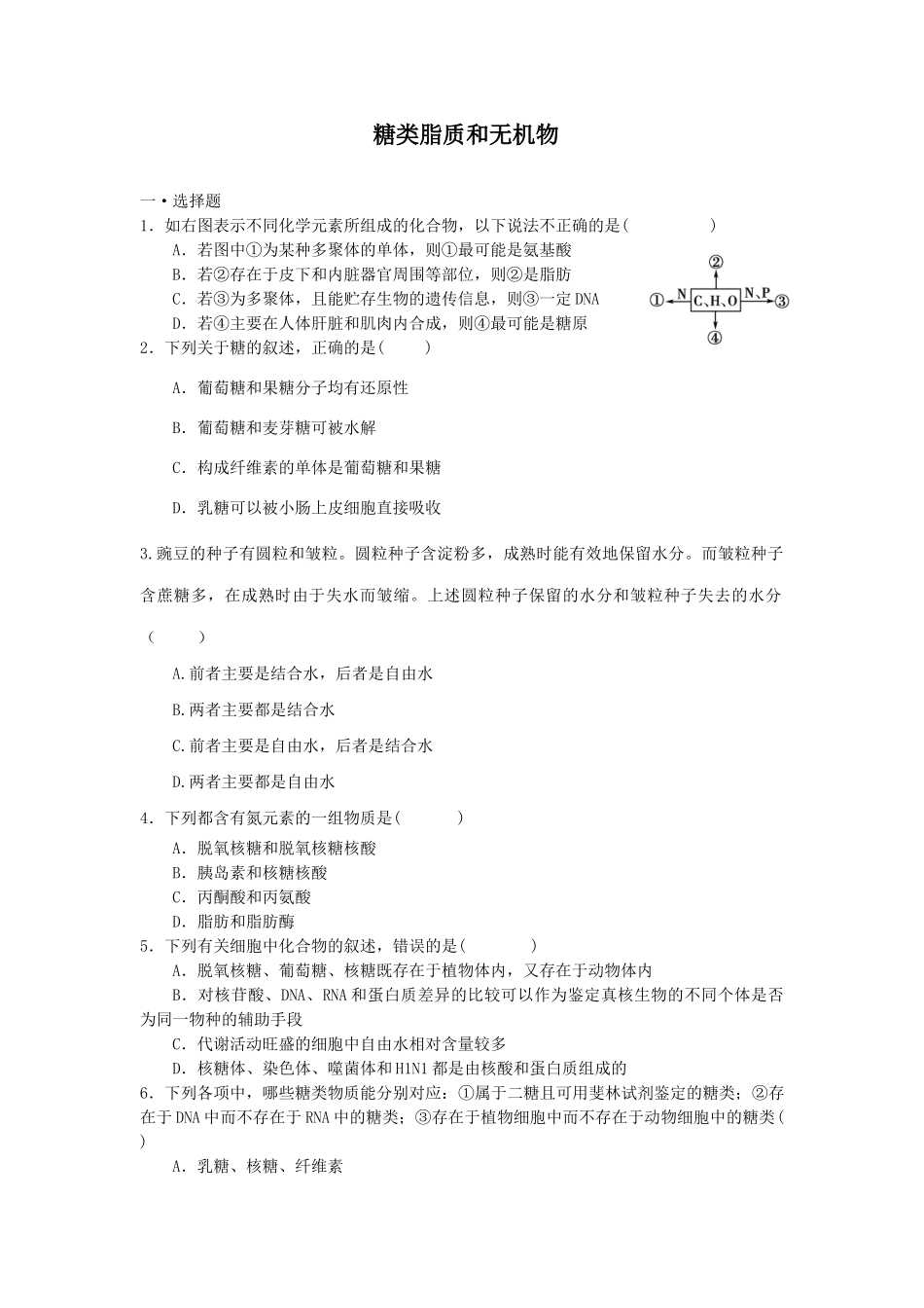 糖类脂质无机物_第1页