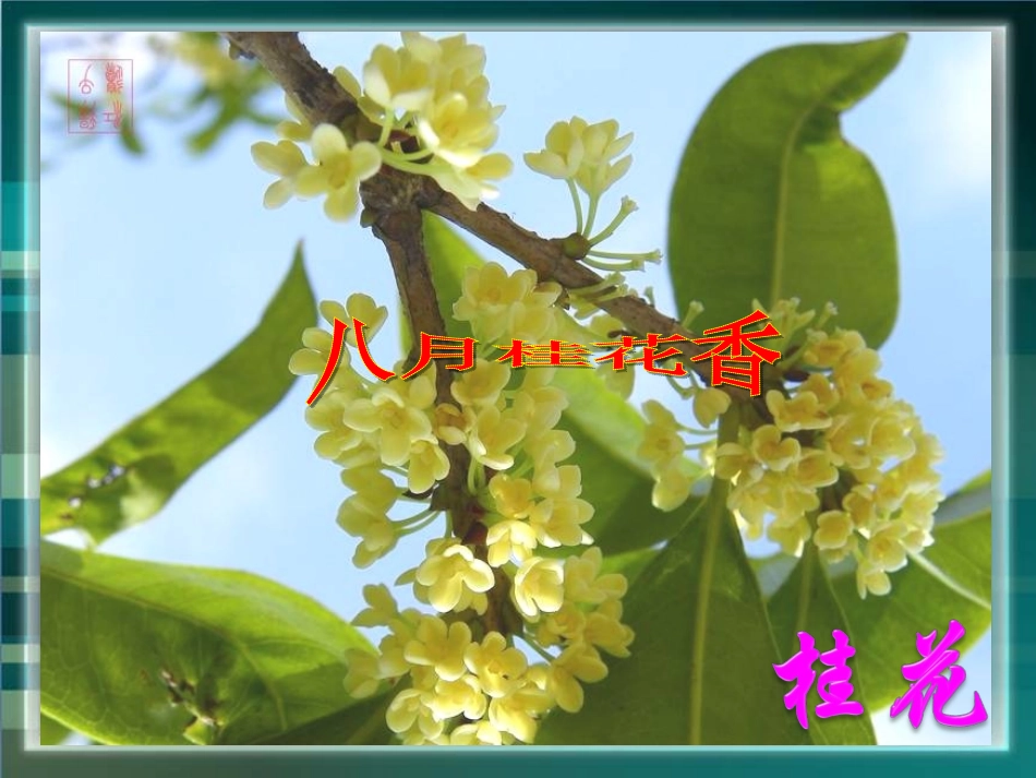 《构成物质的微粒(Ⅰ)——分子》_第3页