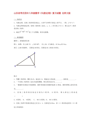 山东省枣庄四中八年级数学(勾股定理)复习试卷 北师大版试卷