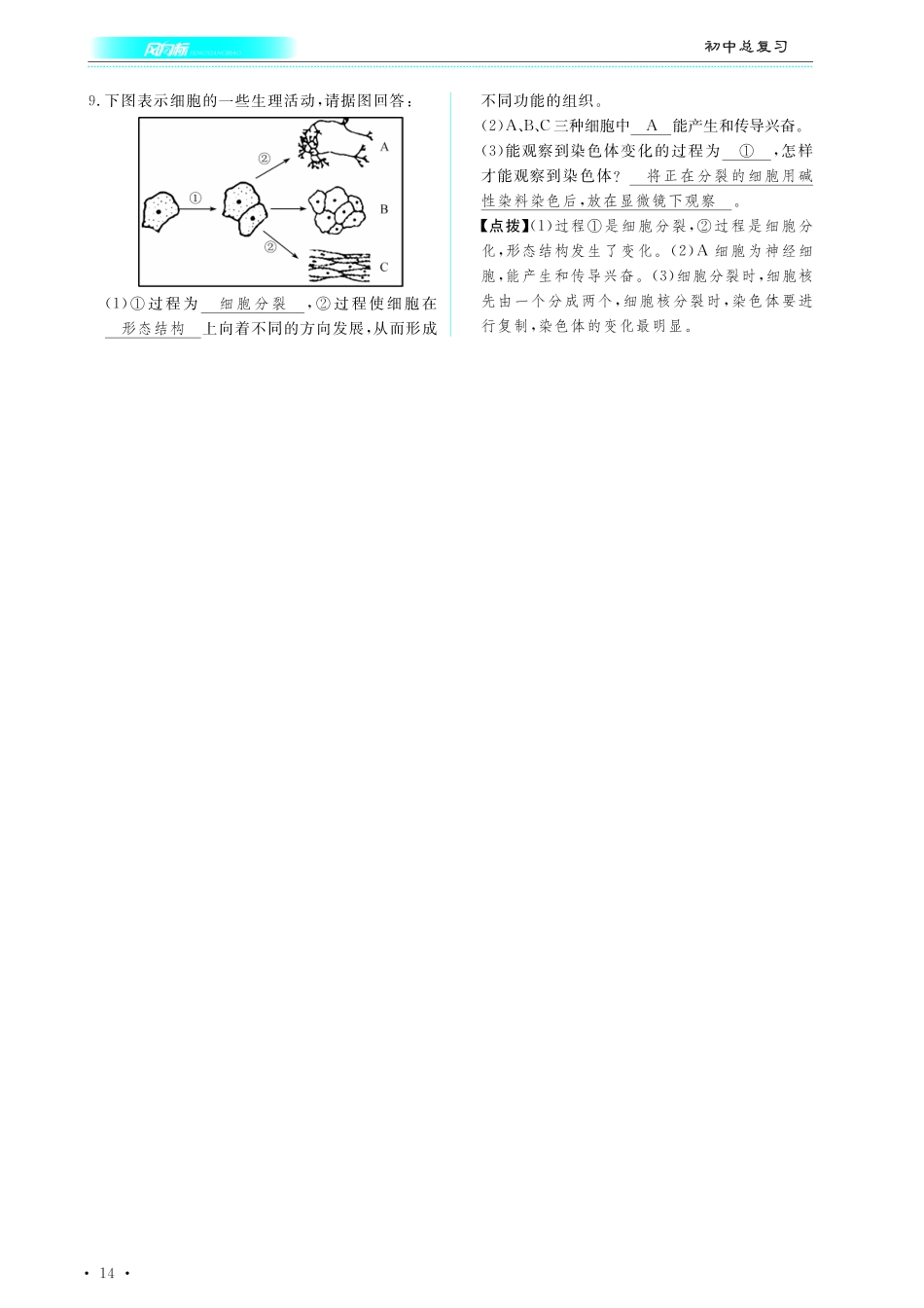 中考生物总复习 第二部分 生物体的结构层次 专题三 细胞分裂 分化形成组织(pdf)试卷_第3页