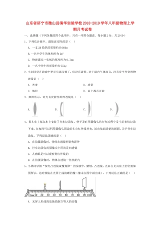 山东省济宁市微山县清华实验学校八年级物理上学期月考试卷试卷