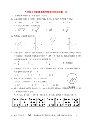 九上数学质量检查卷 人教新课标版试卷