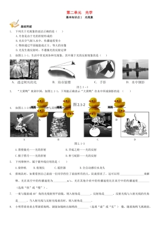 中考解读(广州专版)中考物理 第1部分 系统基础知识篇 第二单元 光学(知识点1)光现象复习检测试卷