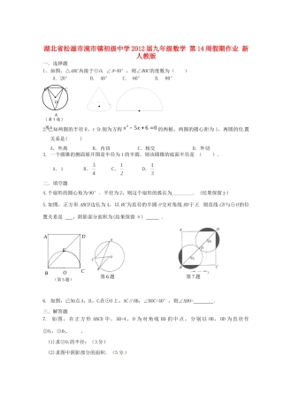 九年级数学 第14周假期作业 新人教版试卷