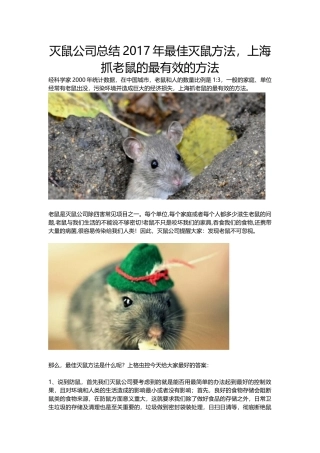 灭鼠公司总结