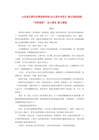 中考语文 散文阅读训练 写哲理类 仙人掌花 新人教版试卷