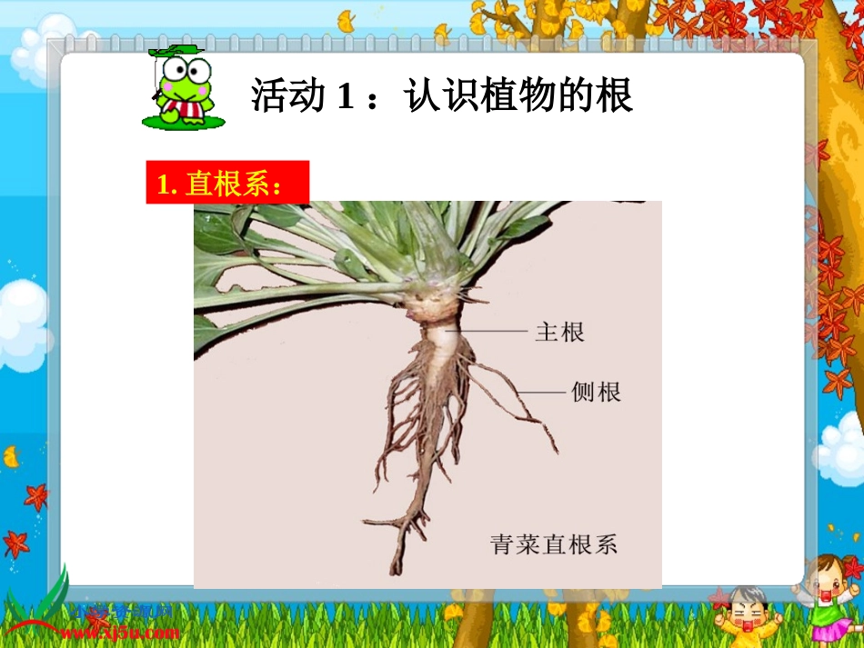 植物的根————安淑芝_第2页