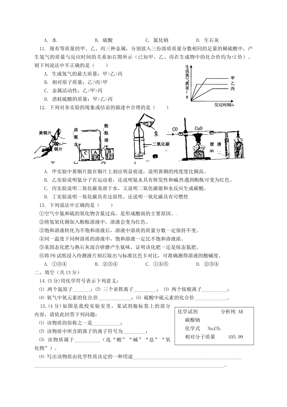 宁夏银川外国语实验学校届九年级化学第一次模拟考试试卷_第2页