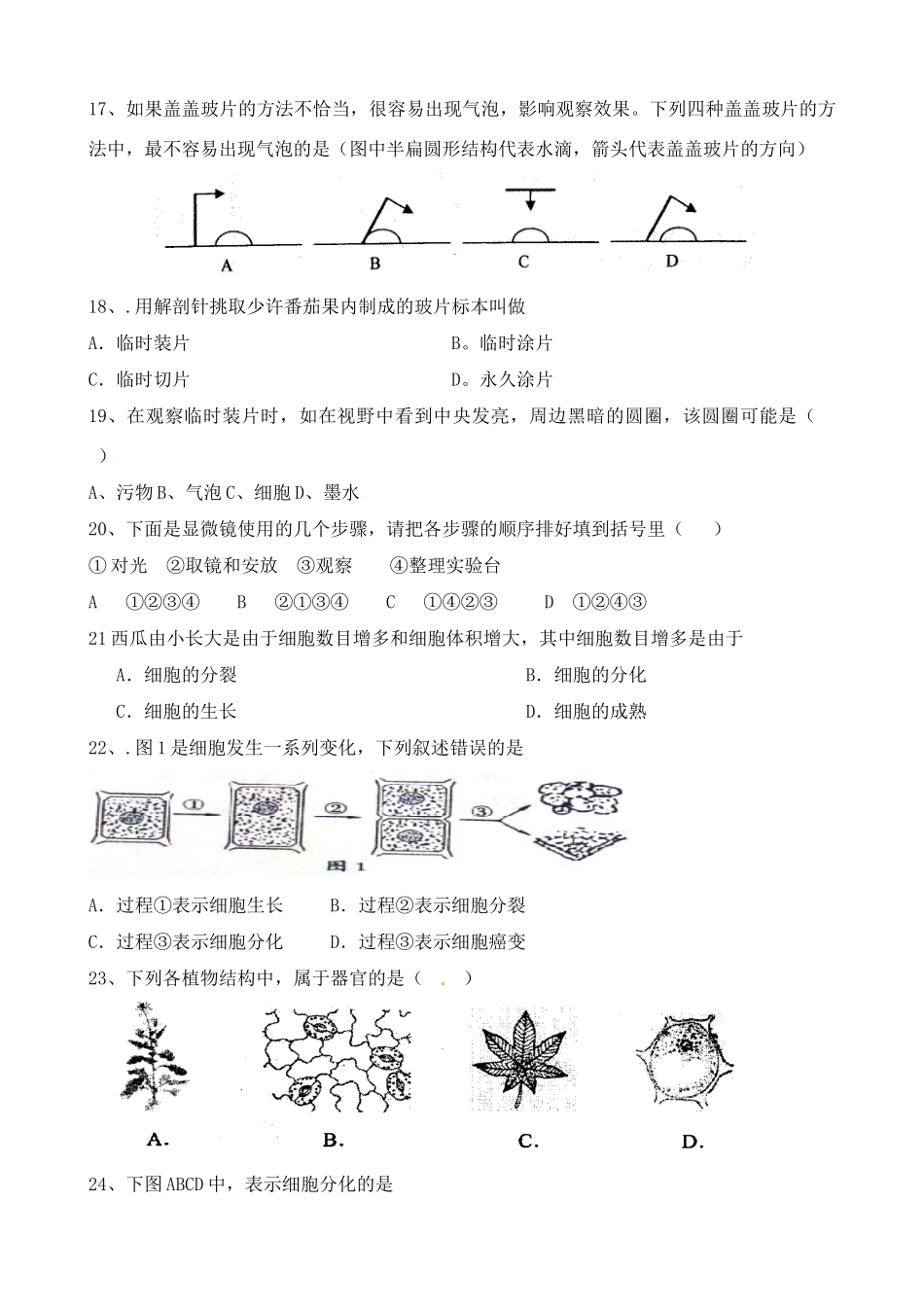 中考生物专题训练二 生命的结构层次试卷_第3页