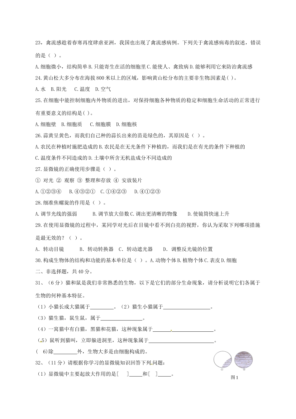 山东省宁津县七年级生物上学期第一次月考试卷 新人教版试卷_第3页