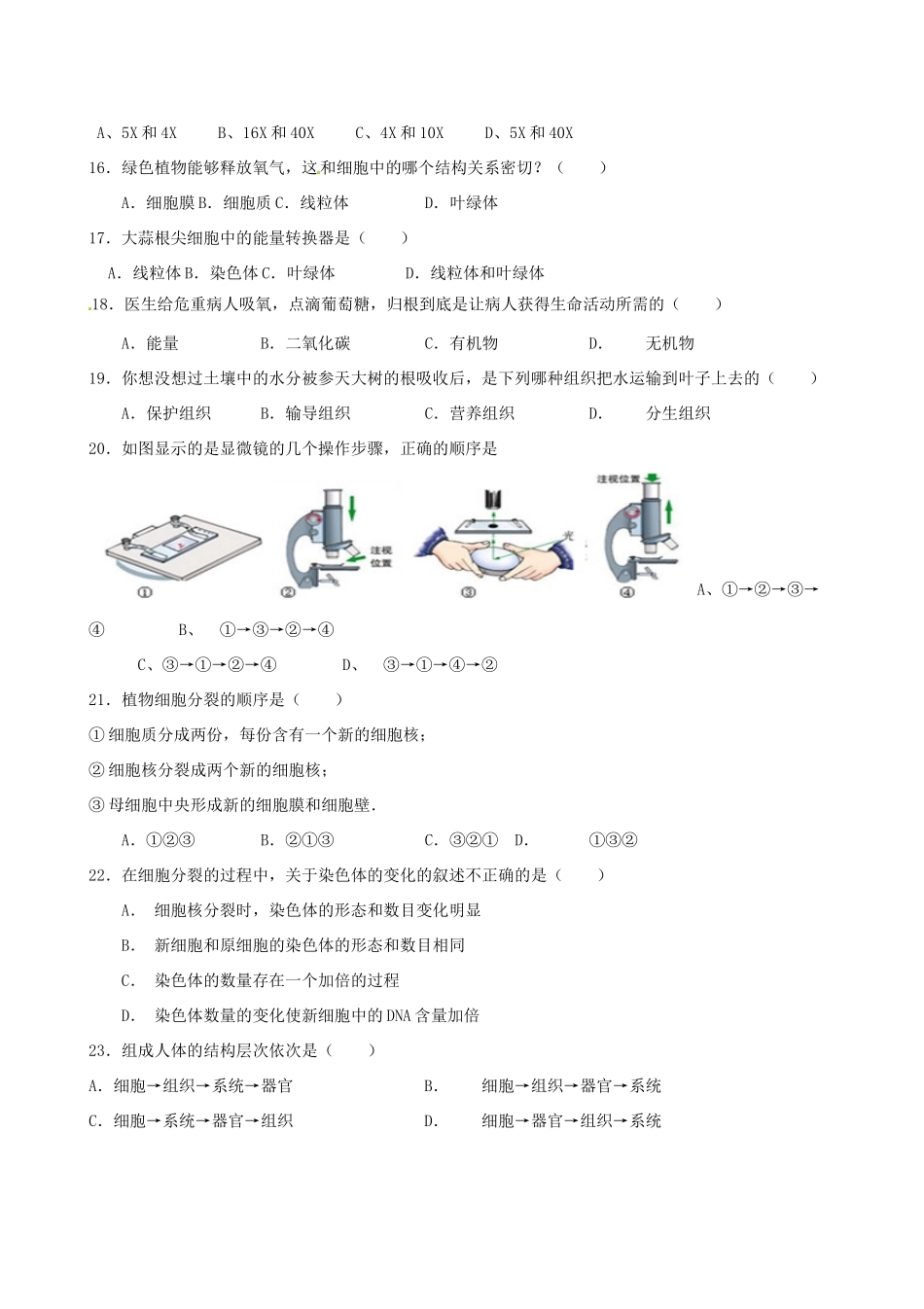大学东莞石竹附属学校七年级生物上学期期中试卷 新人教版试卷_第3页