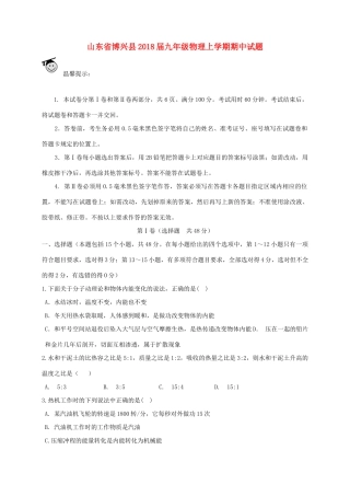 山东省博兴县九年级物理上学期期中试卷