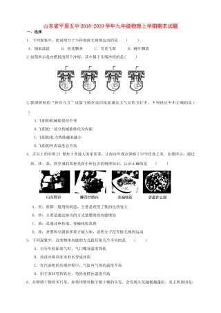 山东省平原五中九年级物理上学期期末试卷