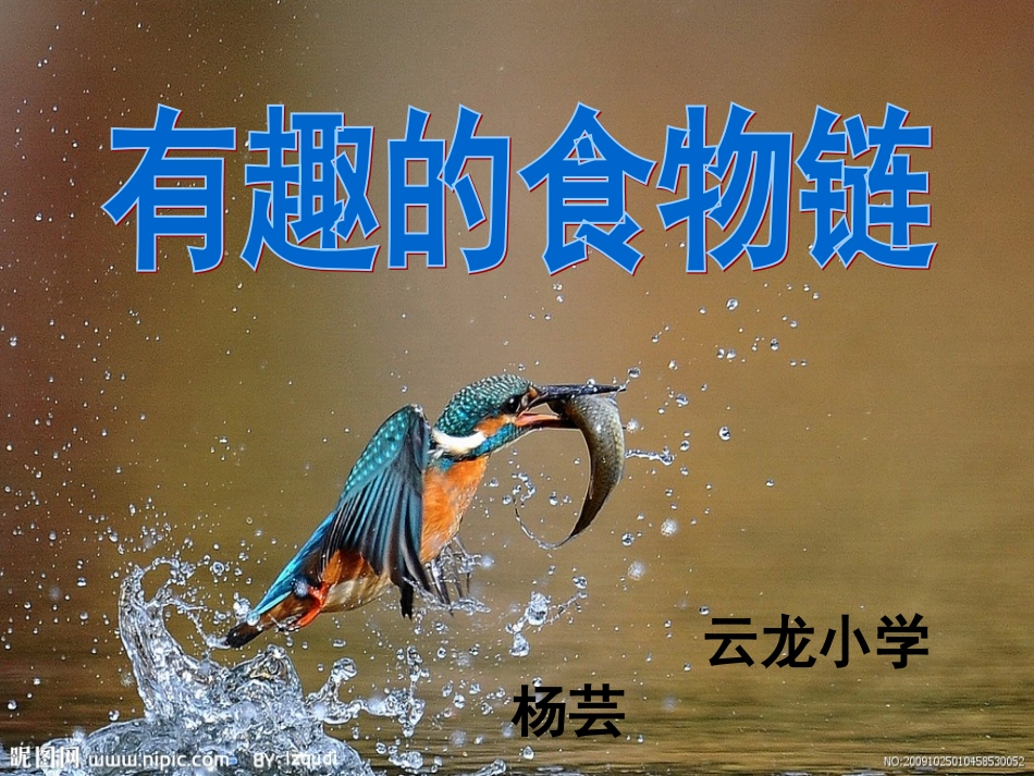 《有趣的食物链》课件_第1页