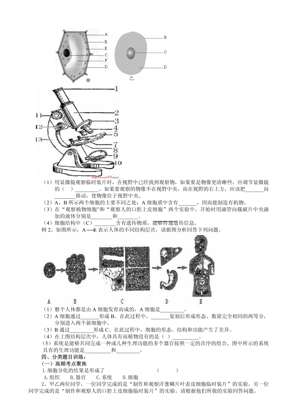 中考生物二轮专题复习 专题2 生物体的结构层次(pdf版)试卷_第2页