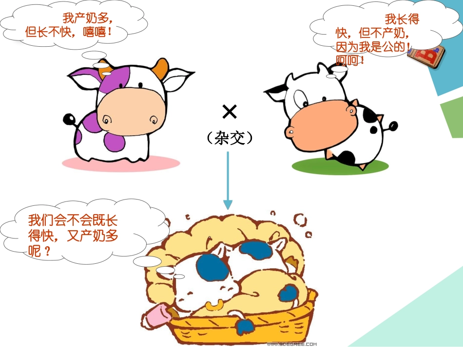 孟德尔（二）_第2页