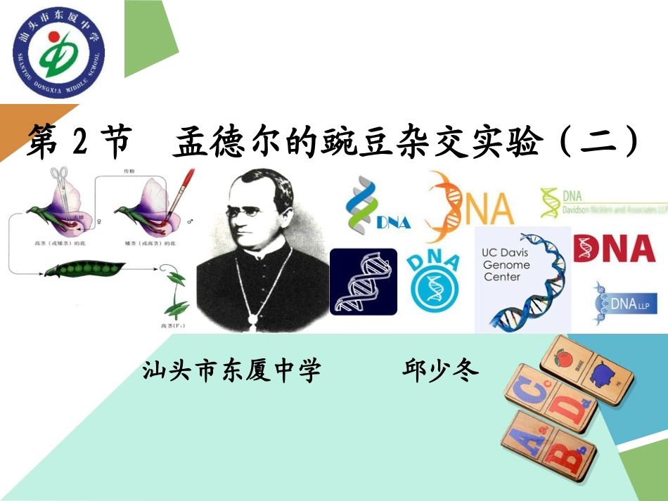 孟德尔（二）_第3页