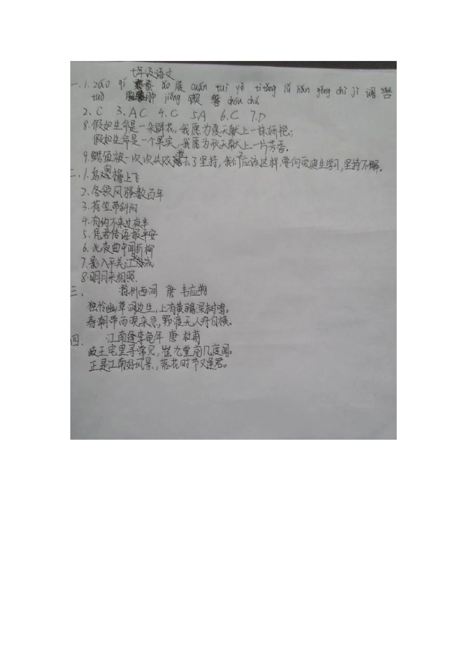 山东省诸城市七年级语文寒假作业检测题新人教版试卷_第3页