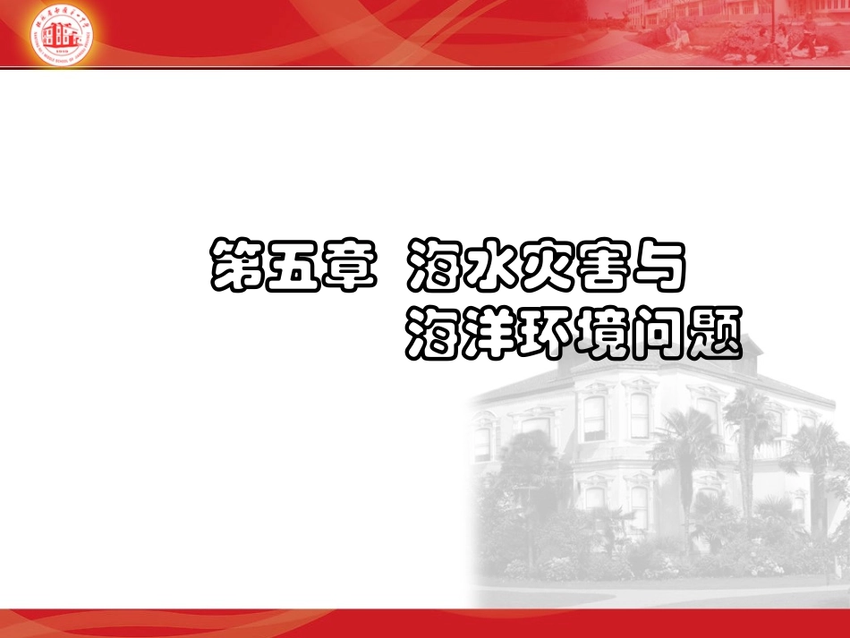 第五章海洋灾害与海洋环境问题（上课用）_第2页