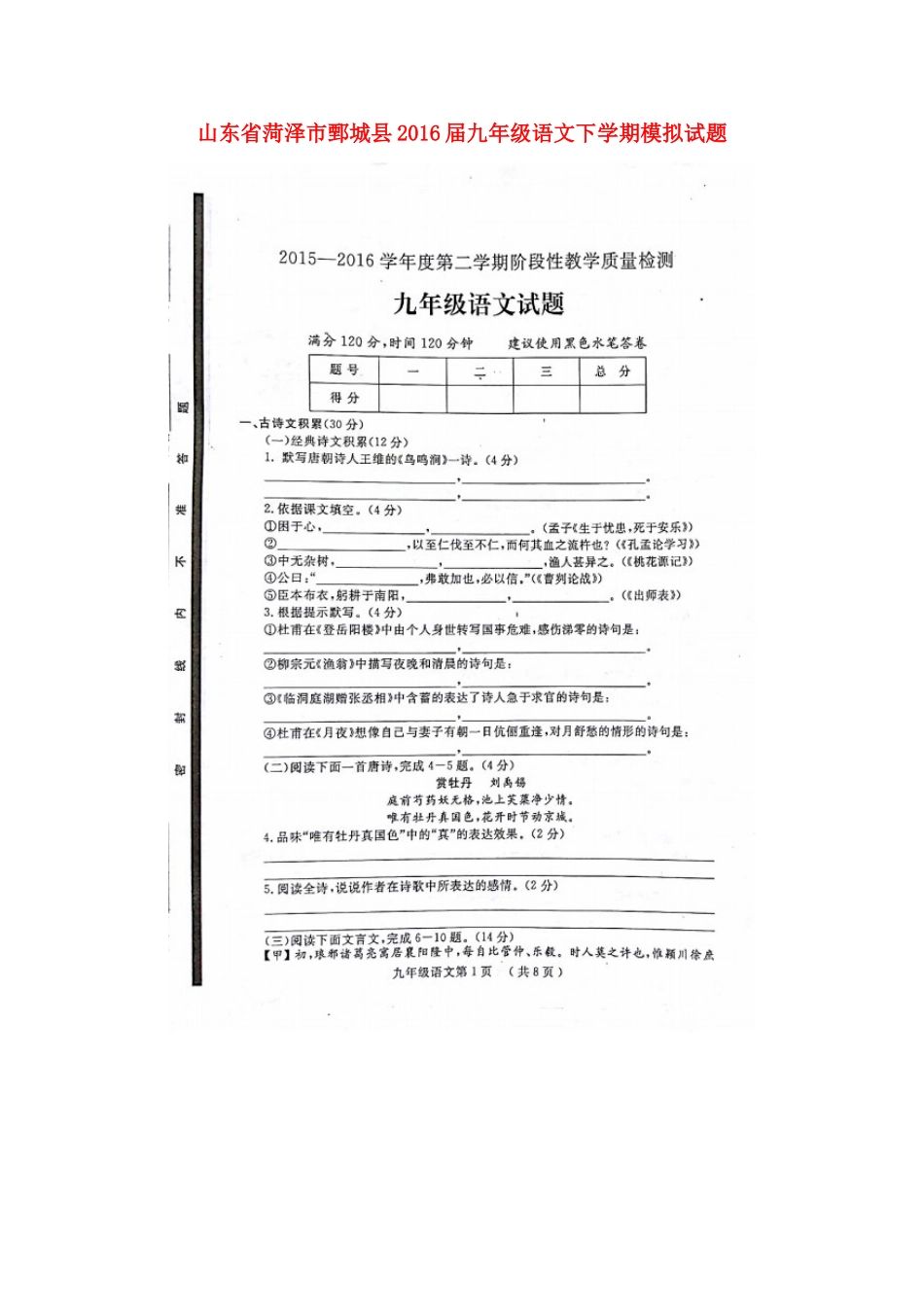 山东省菏泽市鄄城县九年级语文下学期模拟试卷试卷_第1页