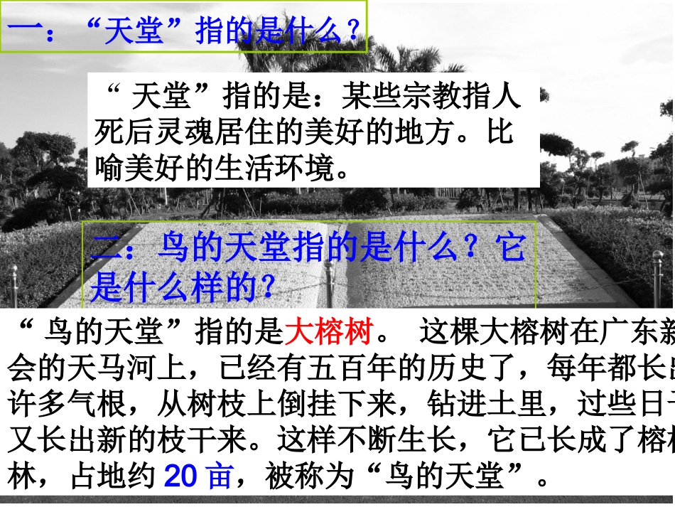 鸟的天堂amyluo_第2页