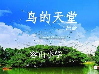 鸟的天堂amyluo