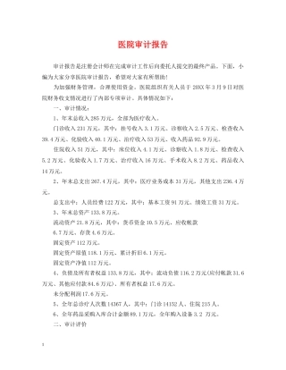 医院审计报告 