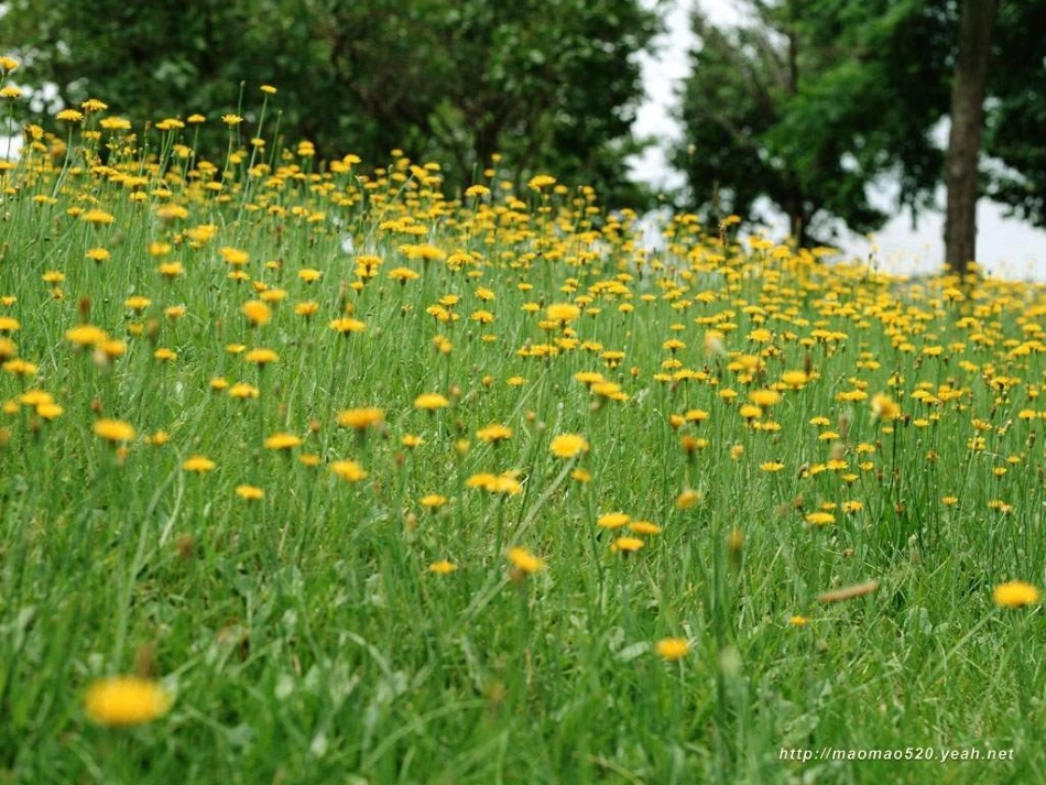 触摸春天_课件_第3页