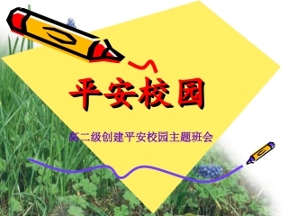 高二级平安校园主题班会课件