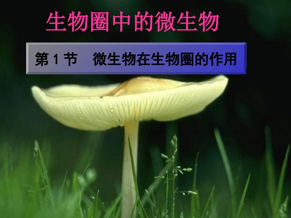 微生物在生物圈中的作用_第1页