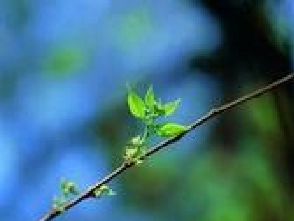 月亮湾可以使用_第1页