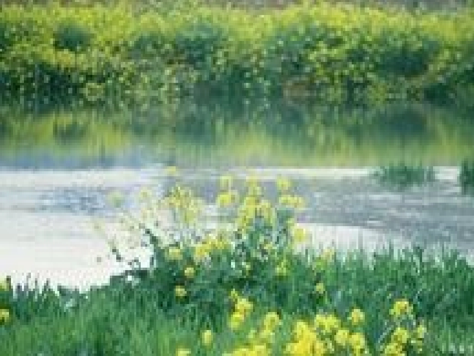 月亮湾可以使用_第2页