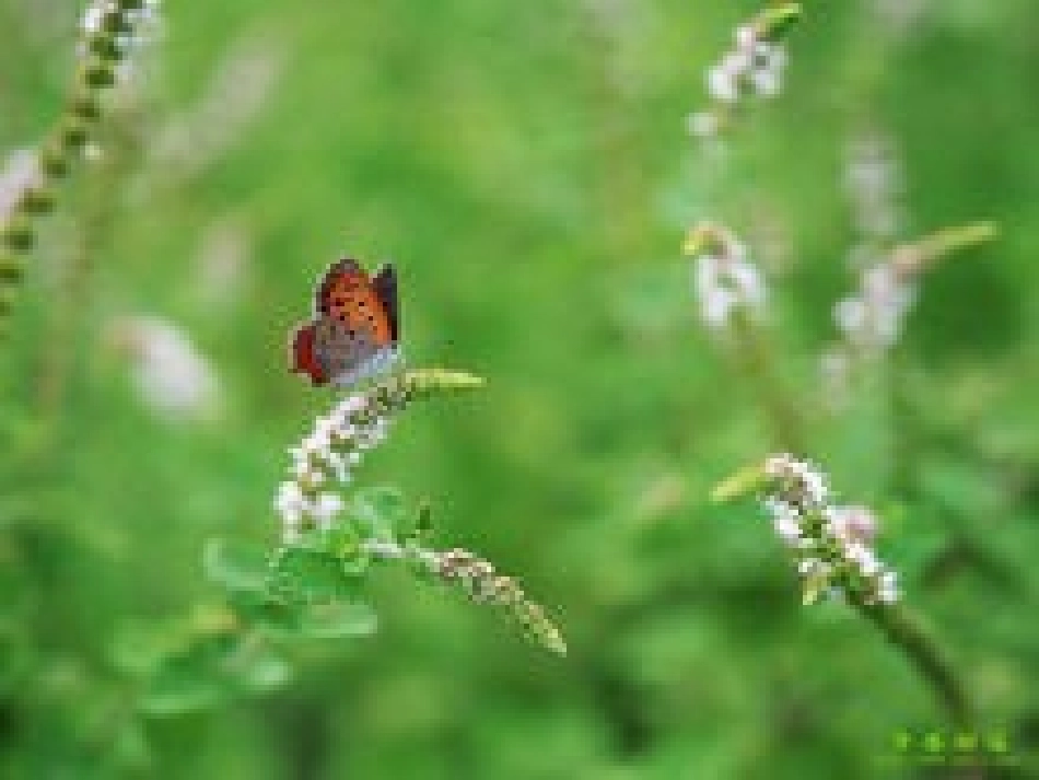 月亮湾可以使用_第3页