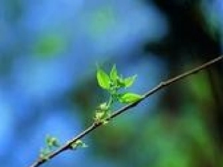 月亮湾可以使用