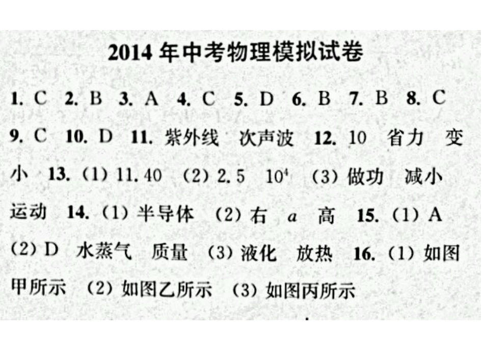 初三物理总复习模拟试讲评_第1页