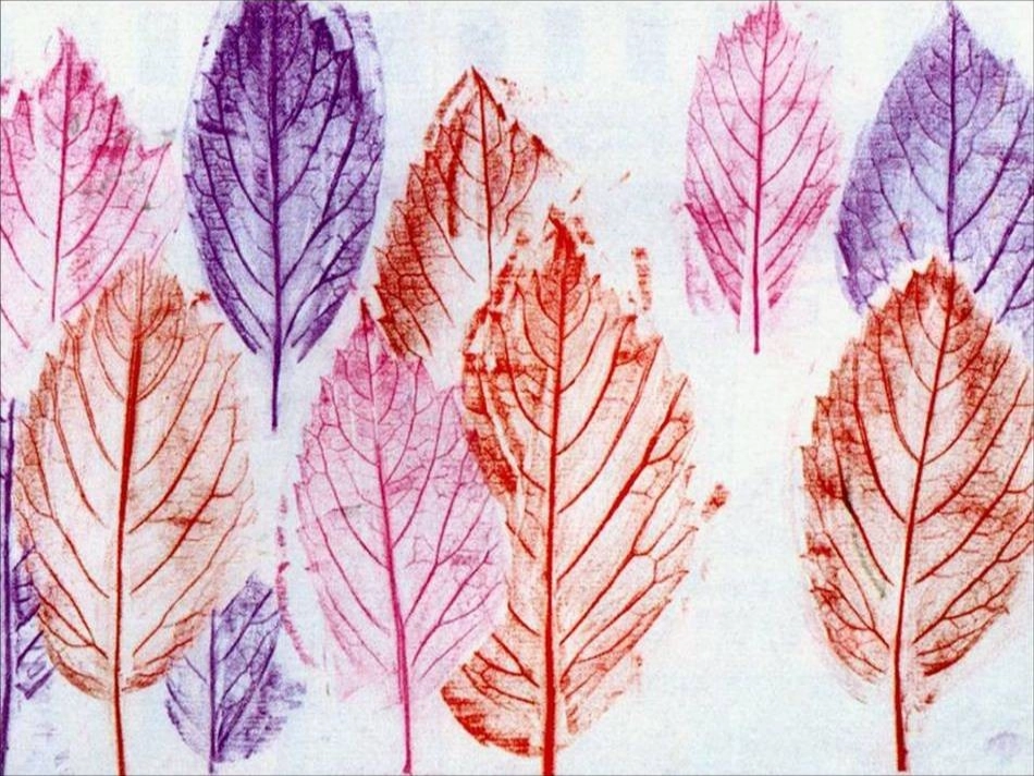 拓印树叶真有趣_第3页