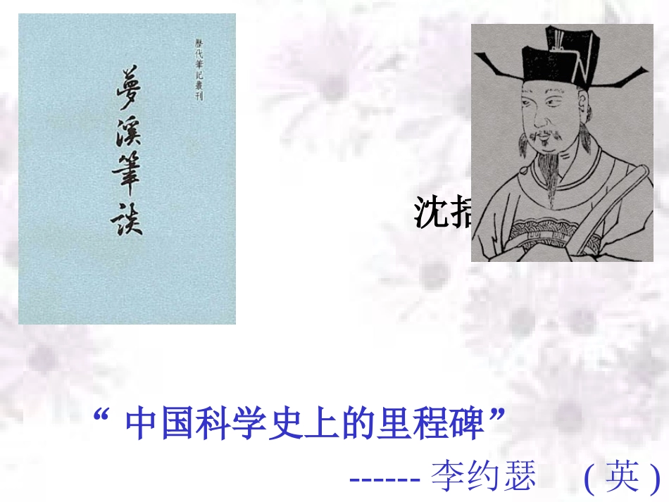 以虫治虫，梵天寺木塔_第3页