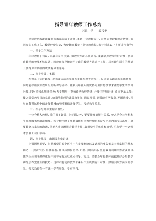 指导青年工作总结