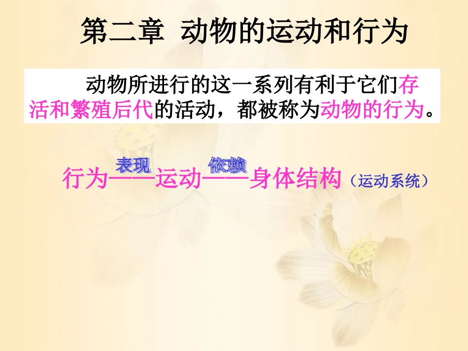 （定）动物的运动_第2页