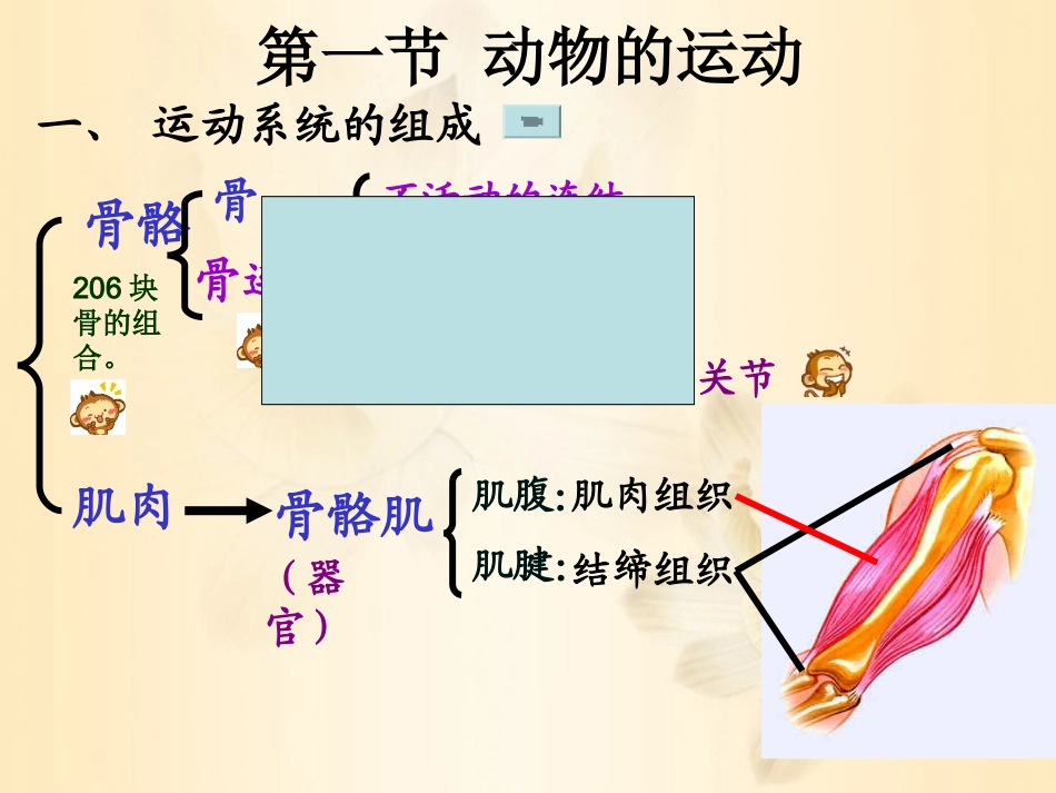 （定）动物的运动_第3页
